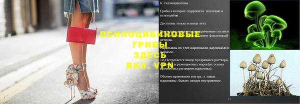 MDMA Premium VHQ Нязепетровск