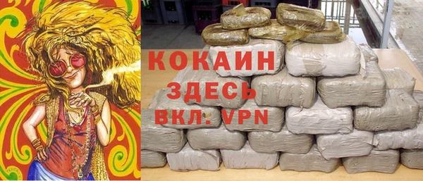 мяу мяу кристалл Няндома