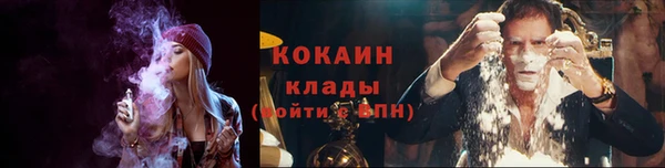 мяу мяу кристалл Няндома