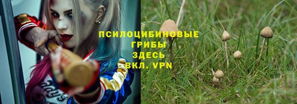 MDMA Premium VHQ Нязепетровск