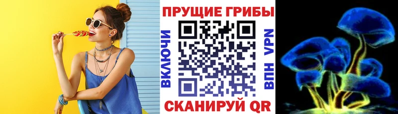 Псилоцибиновые грибы мицелий  продажа наркотиков  Ковдор 