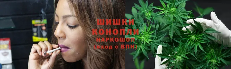 Марихуана THC 21%  Ковдор 